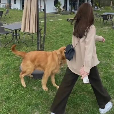 还我本性